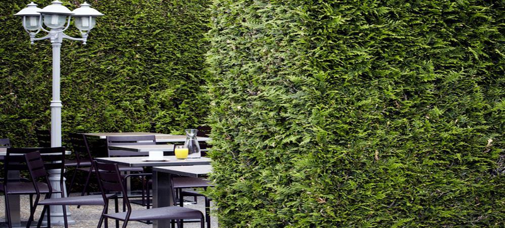 Campanile Grenoble Nord - Saint-Egreve Hotel Nhà hàng bức ảnh